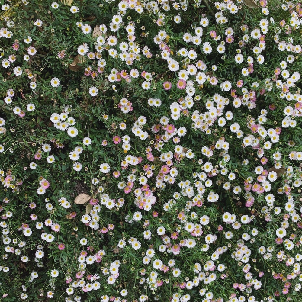 Chronic illness hold 🛑